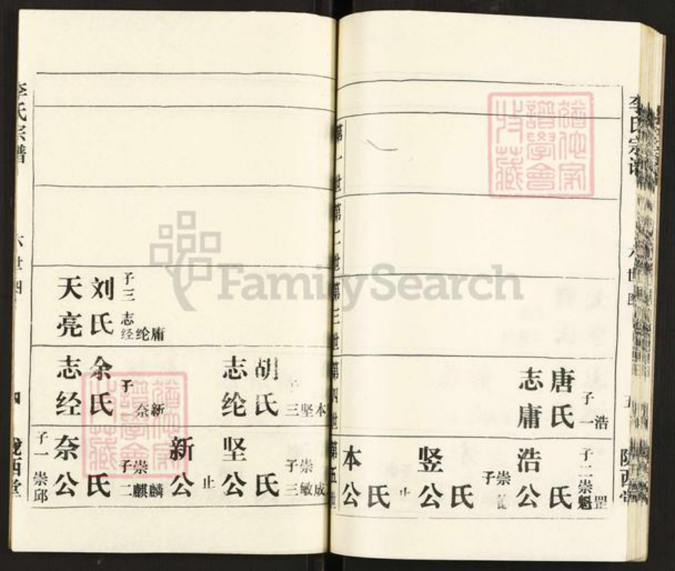 湖北省武汉市湖北省武汉市李氏陇西堂族谱-李氏宗谱.pdf电子版插图5