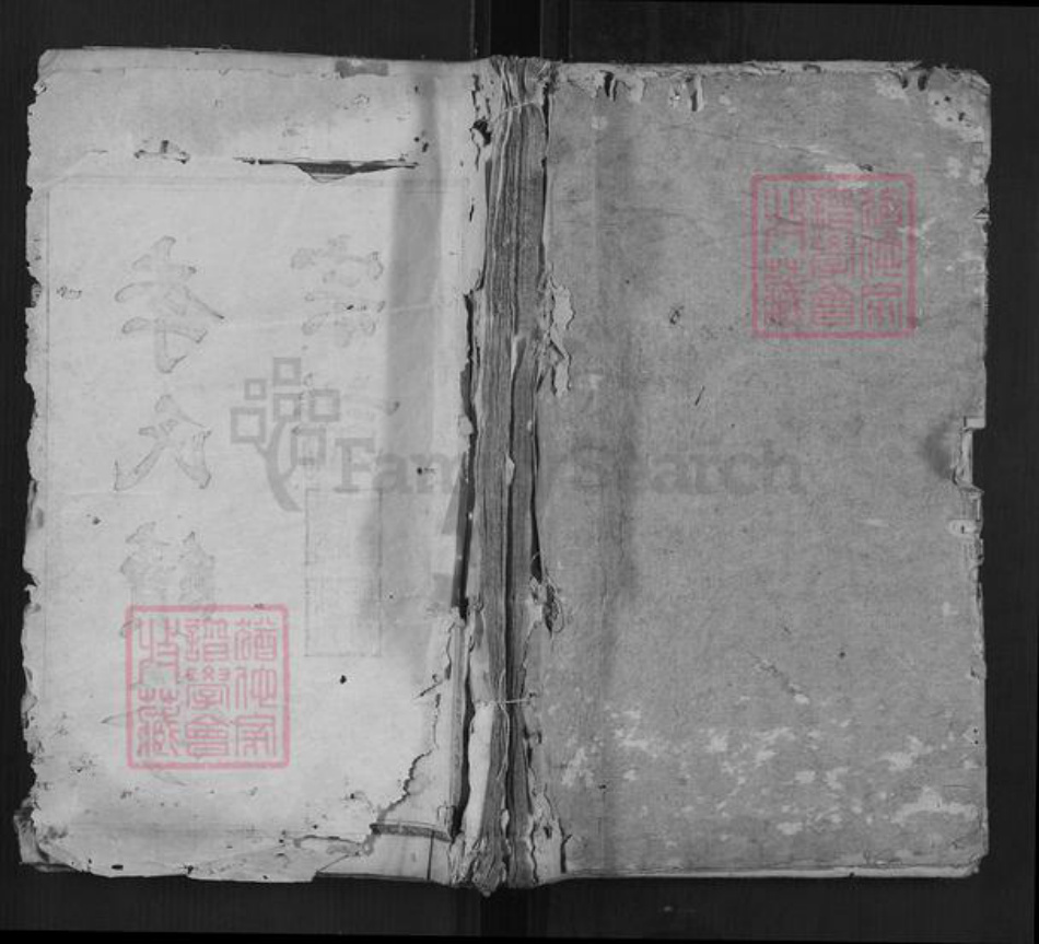 湖南省邵阳市李氏族谱-李氏续修宗谱[7卷末1卷].pdf电子版插图