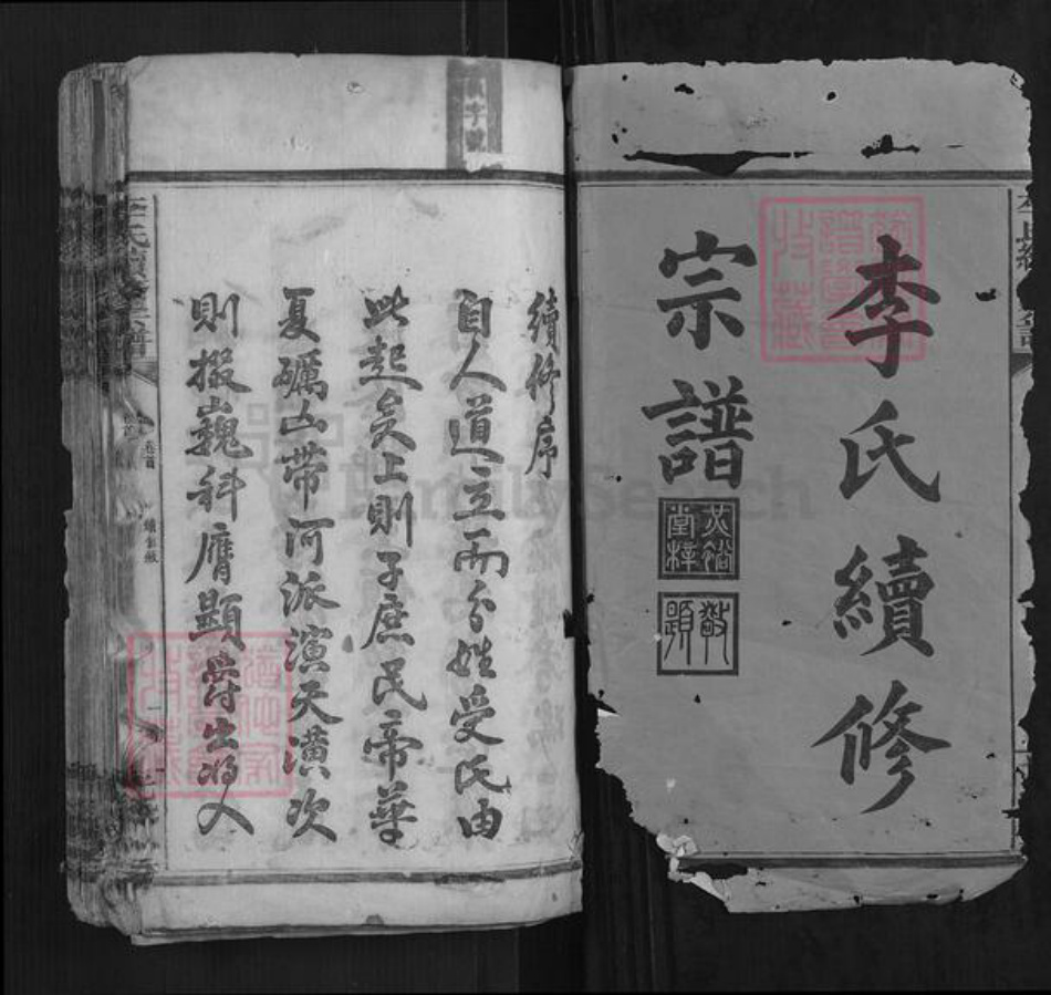 湖南省邵阳市李氏族谱-李氏续修宗谱[7卷末1卷].pdf电子版插图1