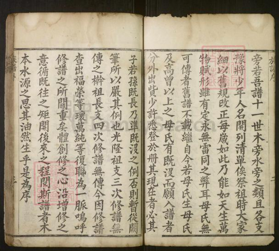 山东省济南市莱芜区李氏族谱-[李氏]族谱[不分卷].pdf电子版插图3