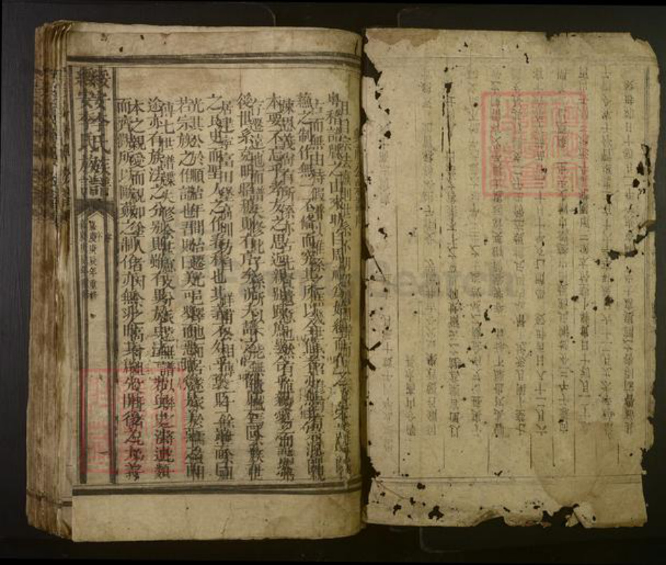 江西省赣州市宁都县李氏族谱-绥安李氏族谱.pdf电子版插图1