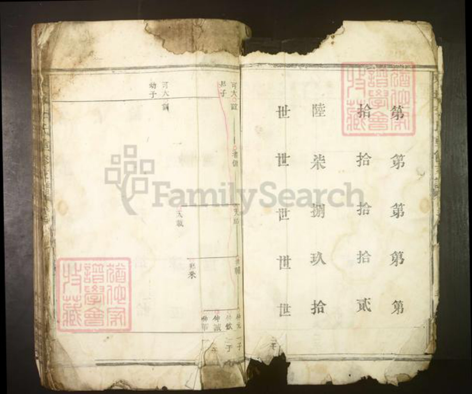 江西省南昌市李氏族谱-城东李氏重修支谱.pdf电子版插图1