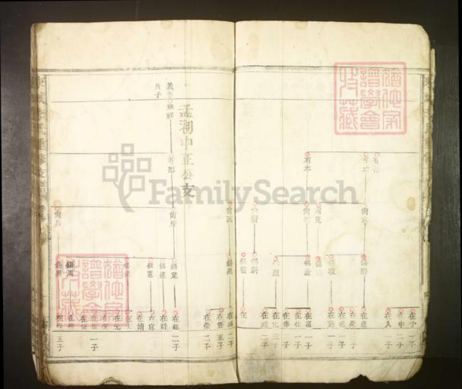 江西省南昌市李氏族谱-城东李氏重修支谱.pdf电子版插图5