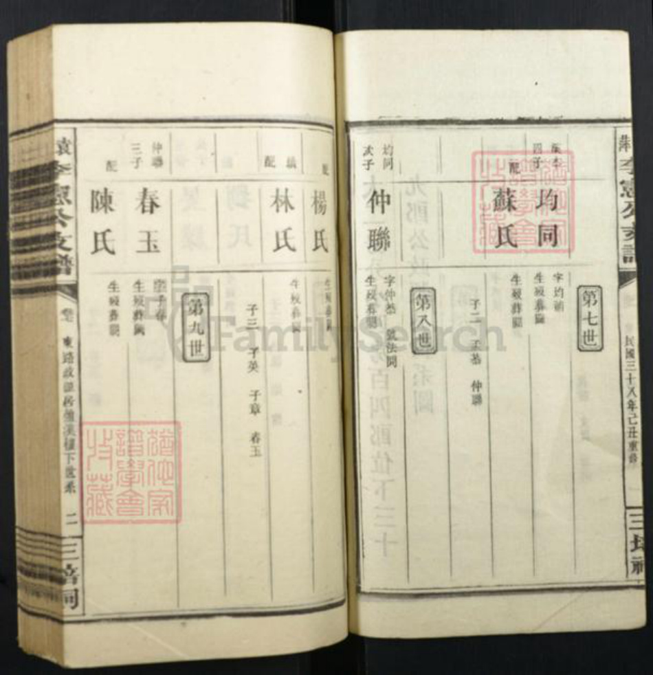 江西省萍乡市李氏族谱-萍袁李宪公支谱.pdf电子版插图2
