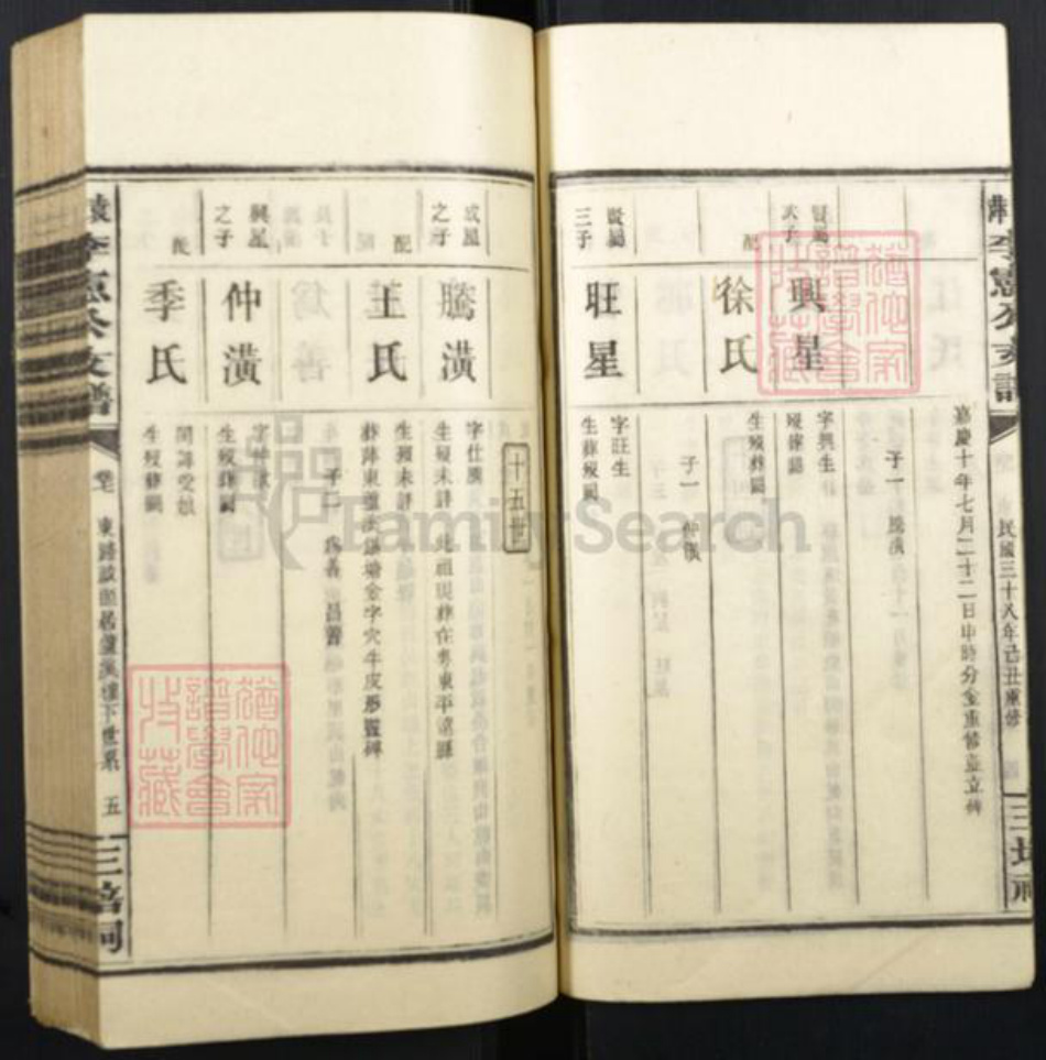 江西省萍乡市李氏族谱-萍袁李宪公支谱.pdf电子版插图5