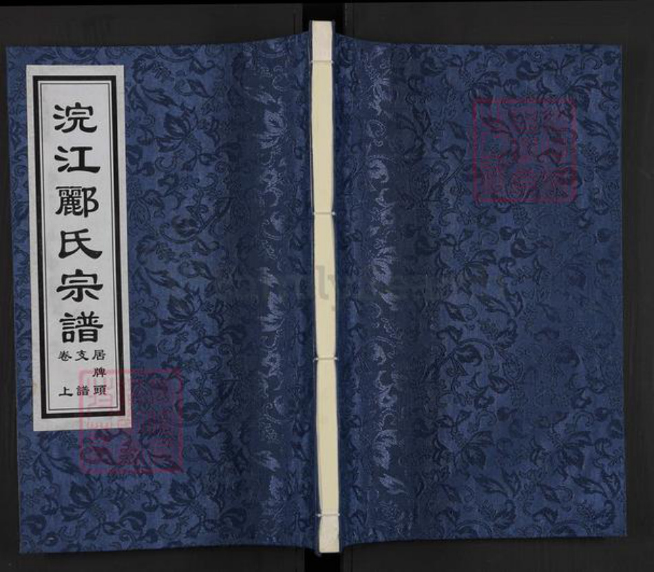 浙江省绍兴诸暨市牌头镇郦氏永思堂族谱-浣江郦氏宗谱.居牌头支谱.pdf电子版插图