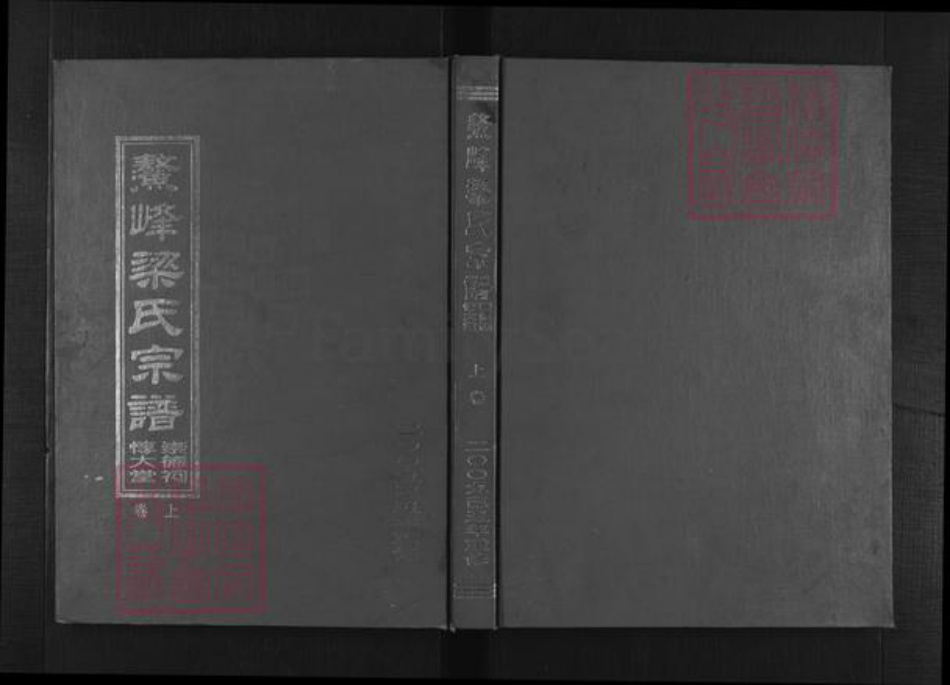 浙江省绍兴新昌县梁氏光裕堂族谱-鳌峰梁氏宗谱 [2卷].pdf电子版插图