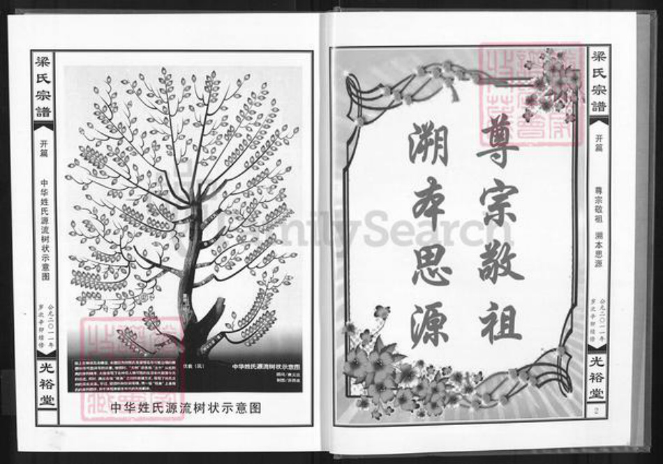湖北省黄石市阳新县梁氏光裕堂族谱-梁氏宗谱.pdf电子版插图2