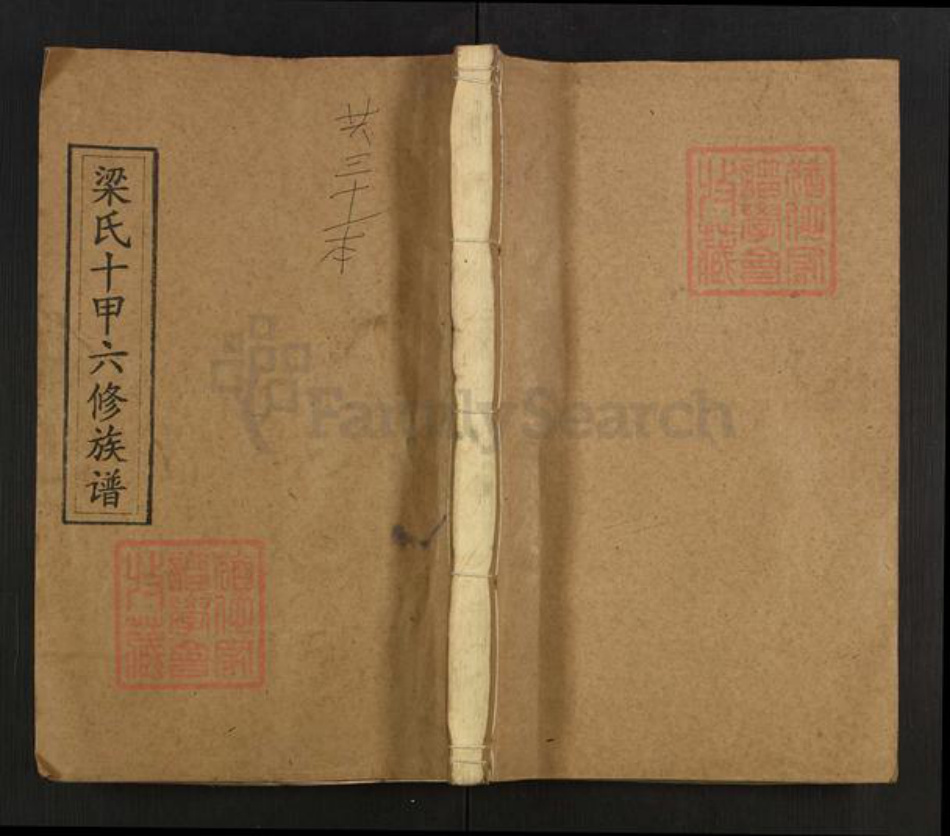 湖南省娄底市涟源市三甲乡梁氏安定堂族谱-梁氏十甲六修族谱.pdf电子版插图