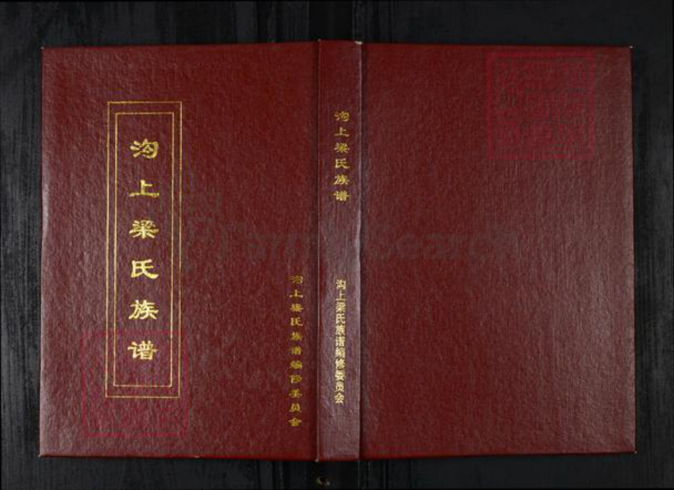 山东省烟台市招远市梁氏族谱-沟上梁氏族谱.pdf电子版插图