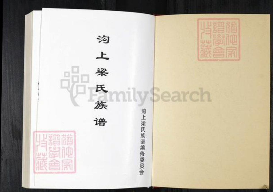 山东省烟台市招远市梁氏族谱-沟上梁氏族谱.pdf电子版插图1
