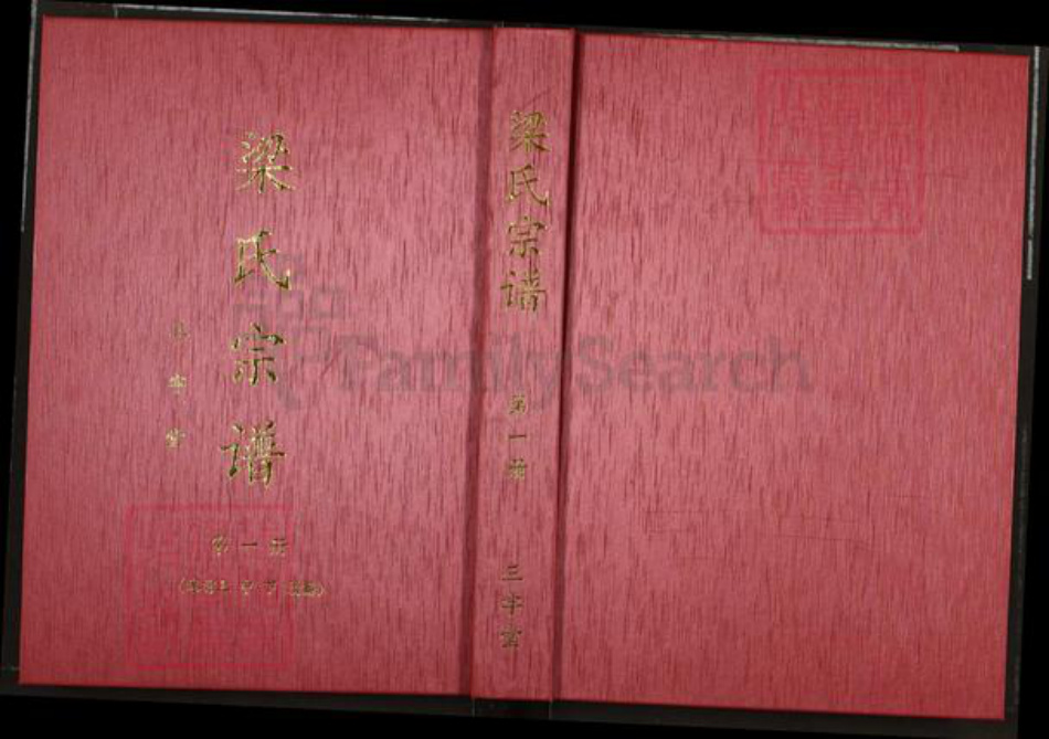 湖北省武汉市洪山区梁氏三字堂族谱-梁氏宗谱.pdf电子版插图