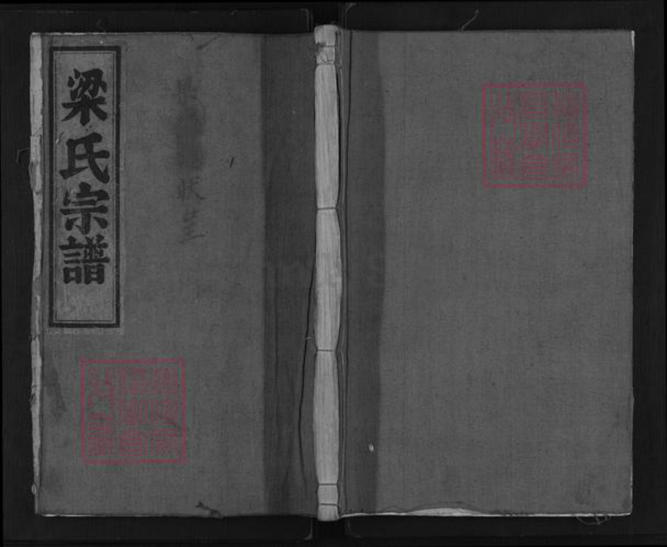浙江省丽水市莲都区梁氏族谱-后商梁氏宗谱.pdf电子版插图
