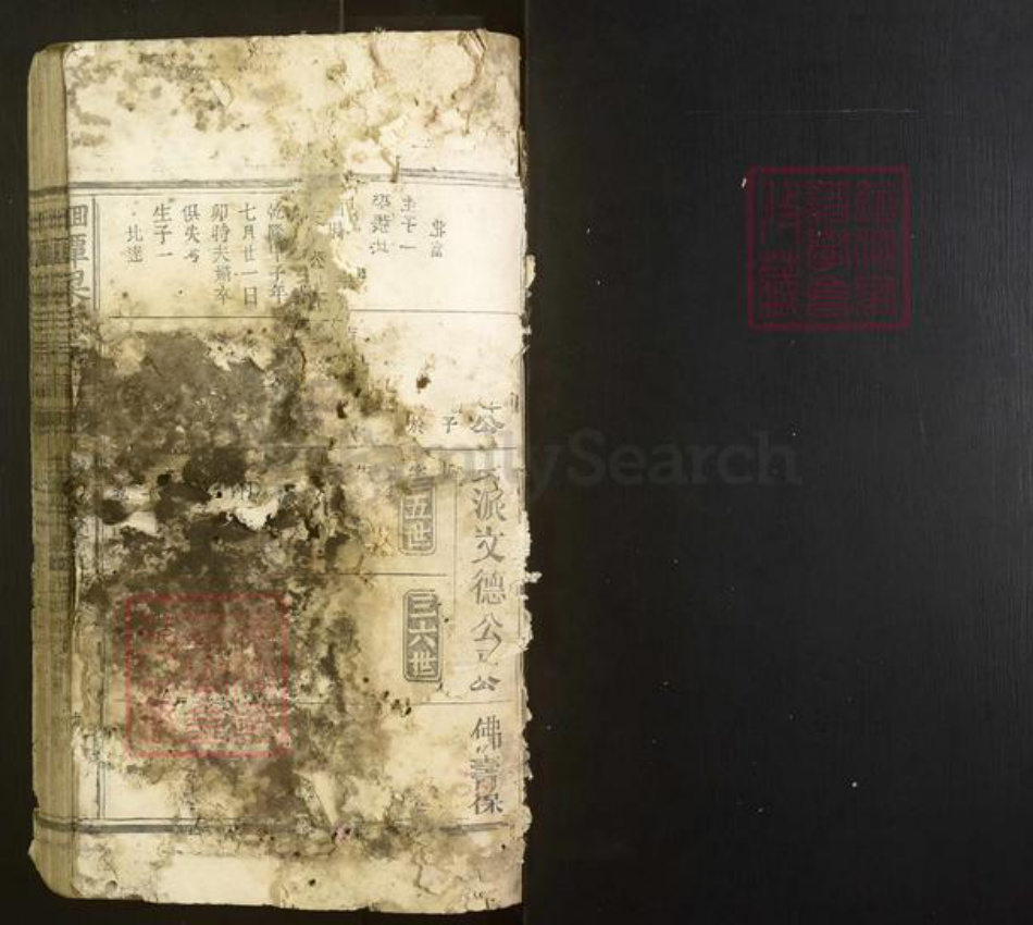 福建省南平市建阳区梁氏族谱-洄潭梁氏宗谱[不分卷].pdf电子版插图1