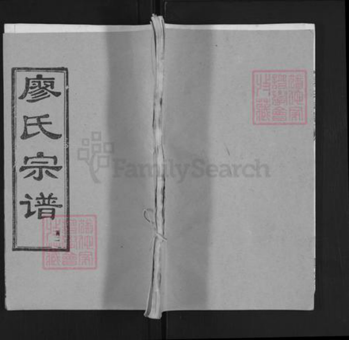 湖北省黄冈市红安县廖氏族谱-廖氏宗谱 [31卷,首4卷].pdf电子版插图