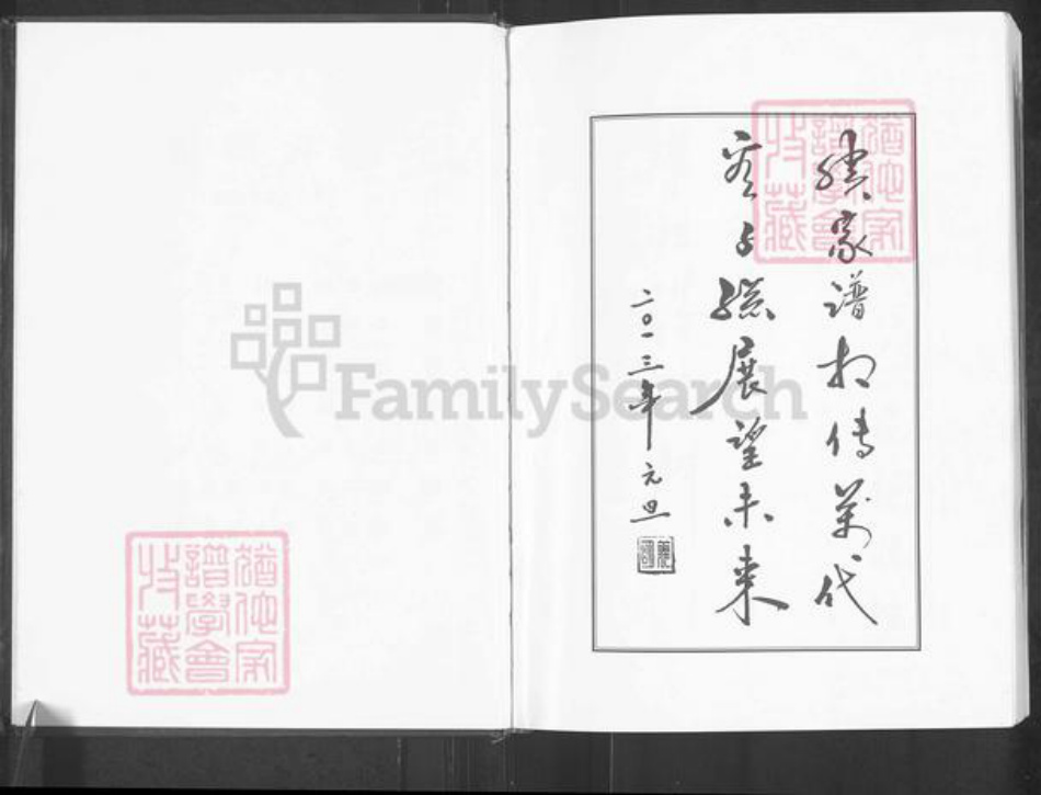 重庆市彭水苗族土家族自治县廖氏族谱-廖氏家谱.pdf电子版插图2