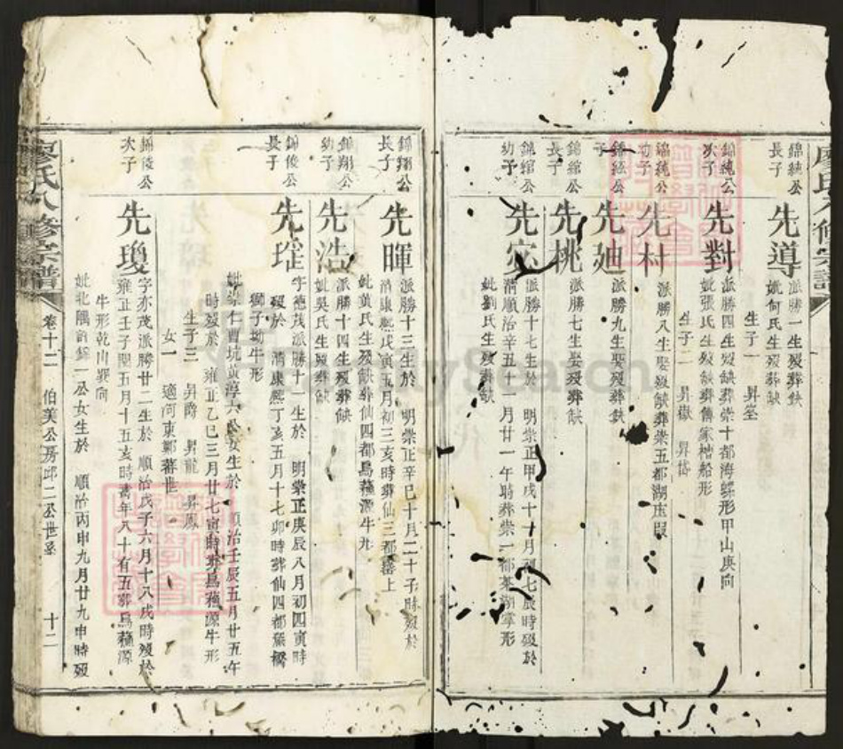 广东省潮州市潮安区廖氏族谱-廖氏八修宗谱.pdf电子版插图2