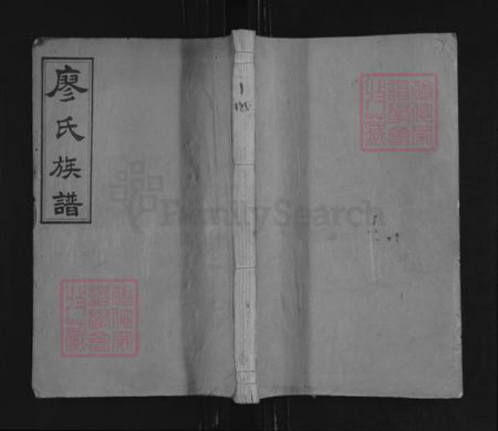 江西省宜春市袁州区廖氏世彩堂族谱-宜邑槎溪廖氏族谱.pdf电子版插图