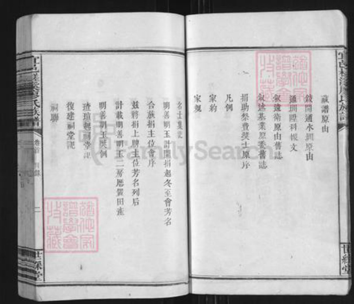 江西省宜春市袁州区廖氏世彩堂族谱-宜邑槎溪廖氏族谱.pdf电子版插图4