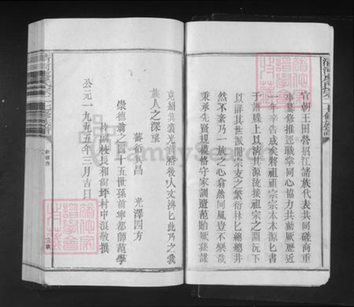 江西省赣州市宁都县洛口镇廖氏族谱-清河廖氏宗二翁七修族谱.pdf电子版插图4