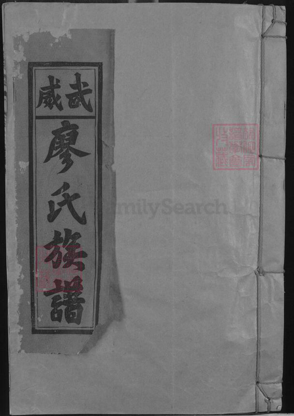 福建省三明市建宁县里心镇廖氏敦睦堂族谱-武威廖氏族谱.pdf电子版插图