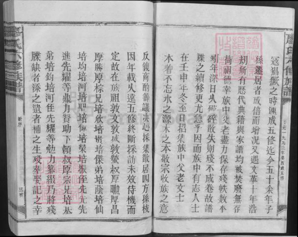 福建省三明市建宁县里心镇廖氏敦睦堂族谱-武威廖氏族谱.pdf电子版插图3