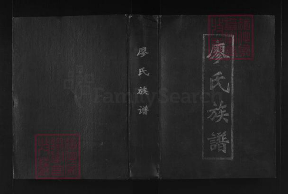 广东省韶关市南雄市廖氏世彩堂族谱-廖氏族谱.pdf电子版插图
