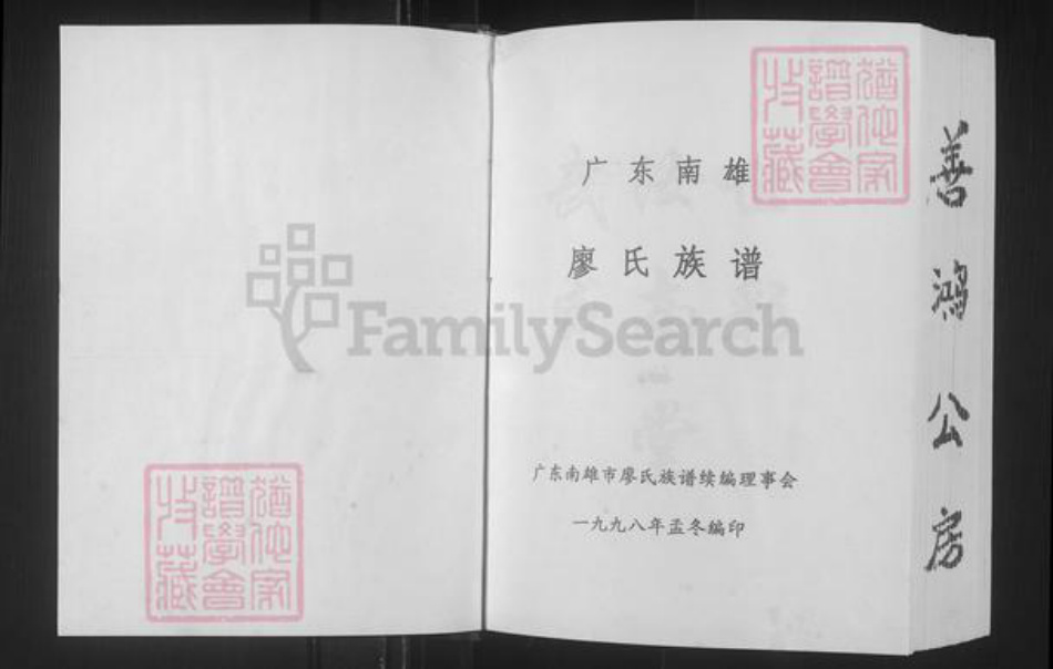 广东省韶关市南雄市廖氏世彩堂族谱-廖氏族谱.pdf电子版插图1