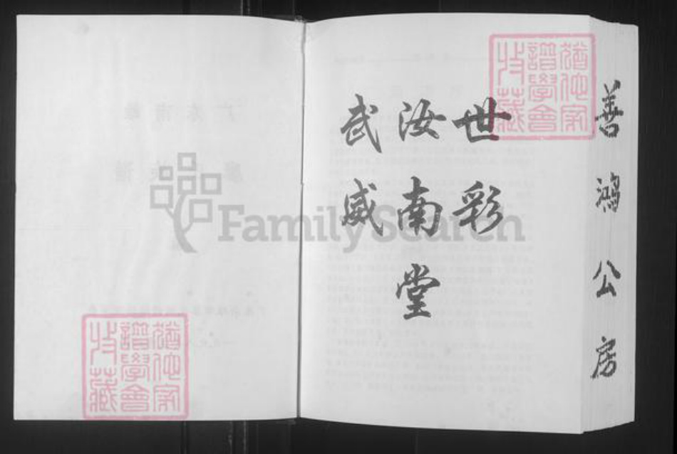 广东省韶关市南雄市廖氏世彩堂族谱-廖氏族谱.pdf电子版插图2