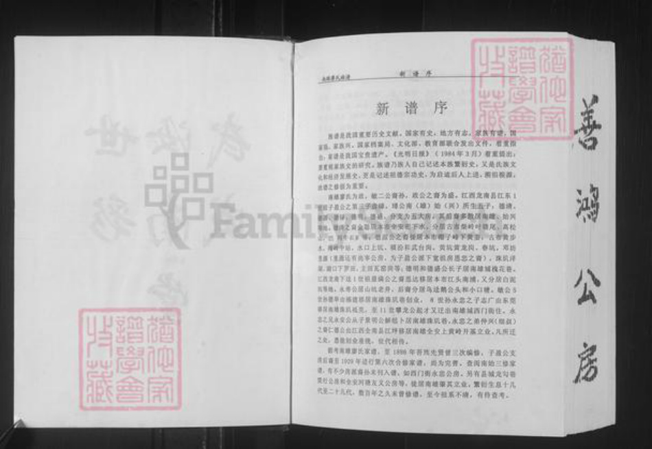 广东省韶关市南雄市廖氏世彩堂族谱-廖氏族谱.pdf电子版插图3