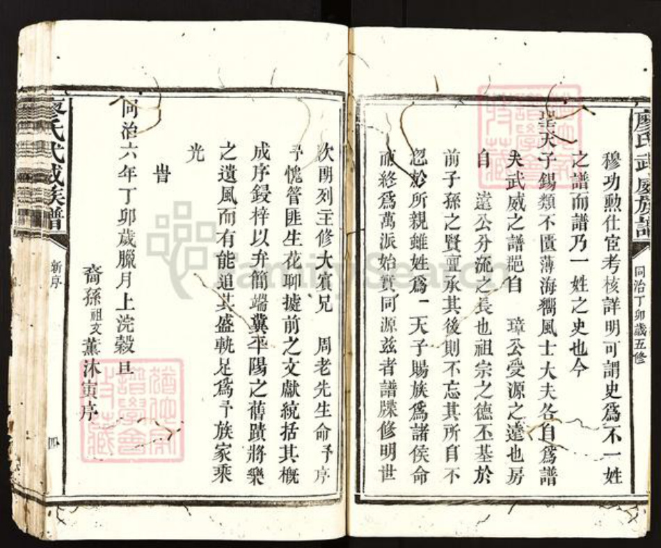 福建省南平市邵武市和平镇廖氏族谱-廖氏武威族谱.pdf电子版插图4
