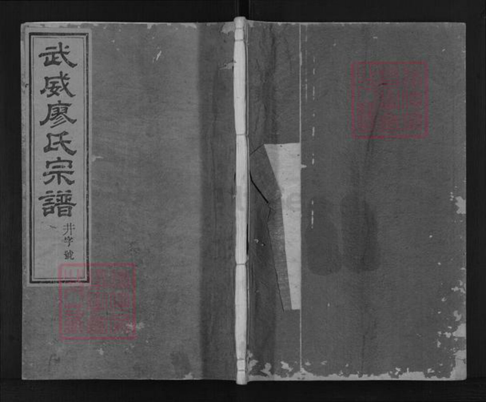 浙江省衢州开化县廖氏世彩堂族谱-武威廖氏宗谱.pdf电子版插图