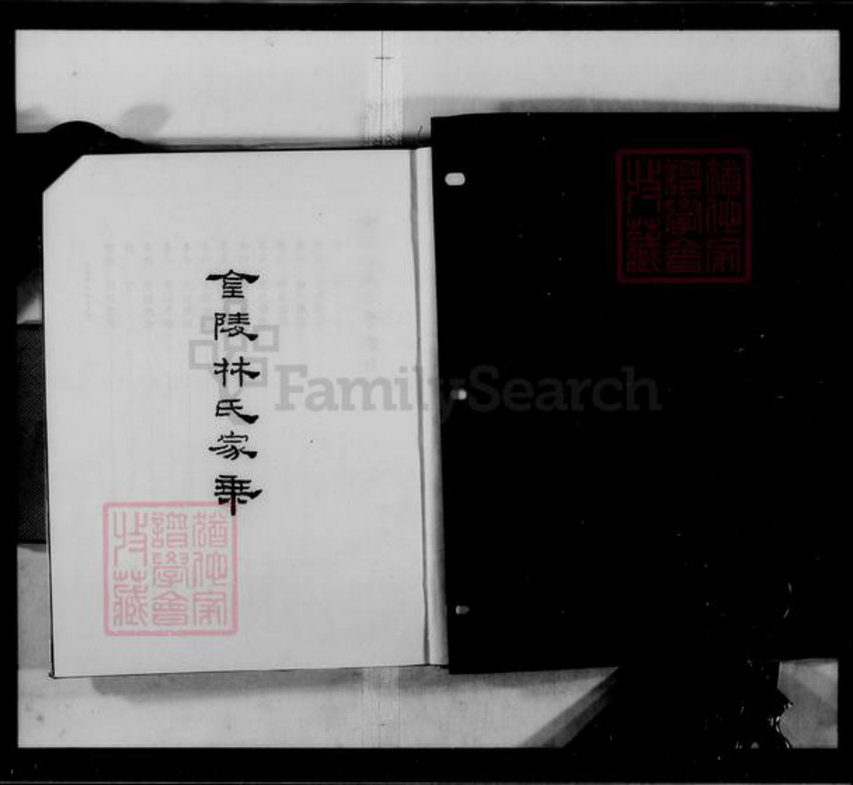 福建省莆田市林氏九牧堂族谱-金陵林氏家乘 [8卷,首末各1卷].pdf电子版插图4