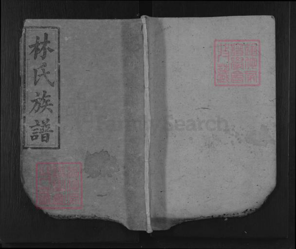 湖南省岳阳市平江县林氏西河堂族谱-平江林氏族谱.pdf电子版插图