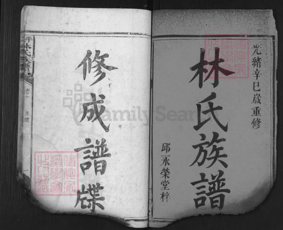 湖南省岳阳市平江县林氏西河堂族谱-平江林氏族谱.pdf电子版插图1
