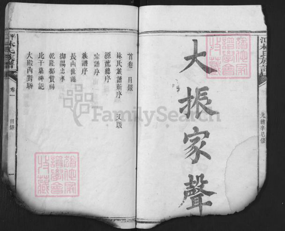 湖南省岳阳市平江县林氏西河堂族谱-平江林氏族谱.pdf电子版插图2