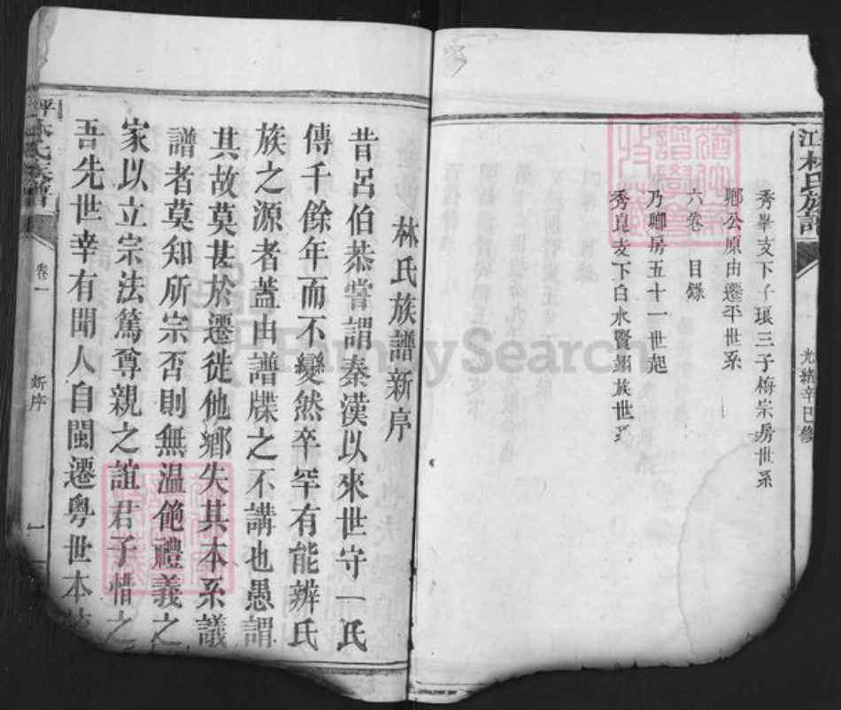 湖南省岳阳市平江县林氏西河堂族谱-平江林氏族谱.pdf电子版插图5