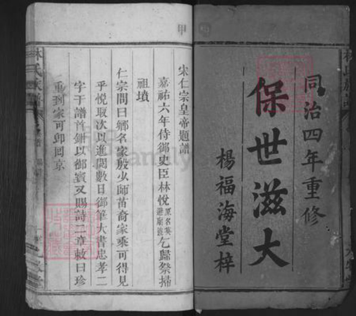 福建省莆田市荔城区林氏九牧堂族谱-杭川林氏族谱.pdf电子版插图1