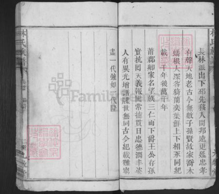 福建省莆田市荔城区林氏九牧堂族谱-杭川林氏族谱.pdf电子版插图2
