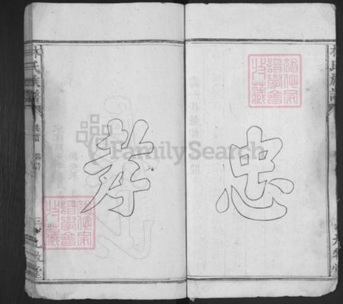 福建省莆田市荔城区林氏九牧堂族谱-杭川林氏族谱.pdf电子版插图3