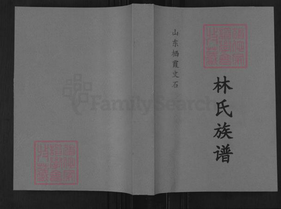 山东省烟台市栖霞市林氏族谱-山东栖霞文石林氏族谱.pdf电子版插图