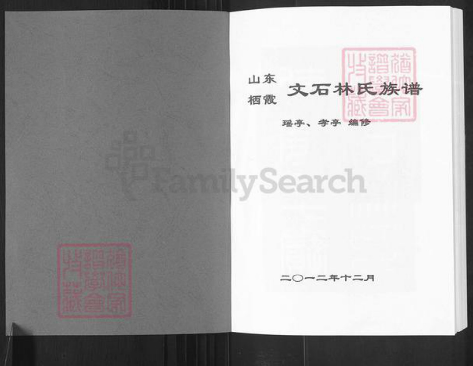 山东省烟台市栖霞市林氏族谱-山东栖霞文石林氏族谱.pdf电子版插图1
