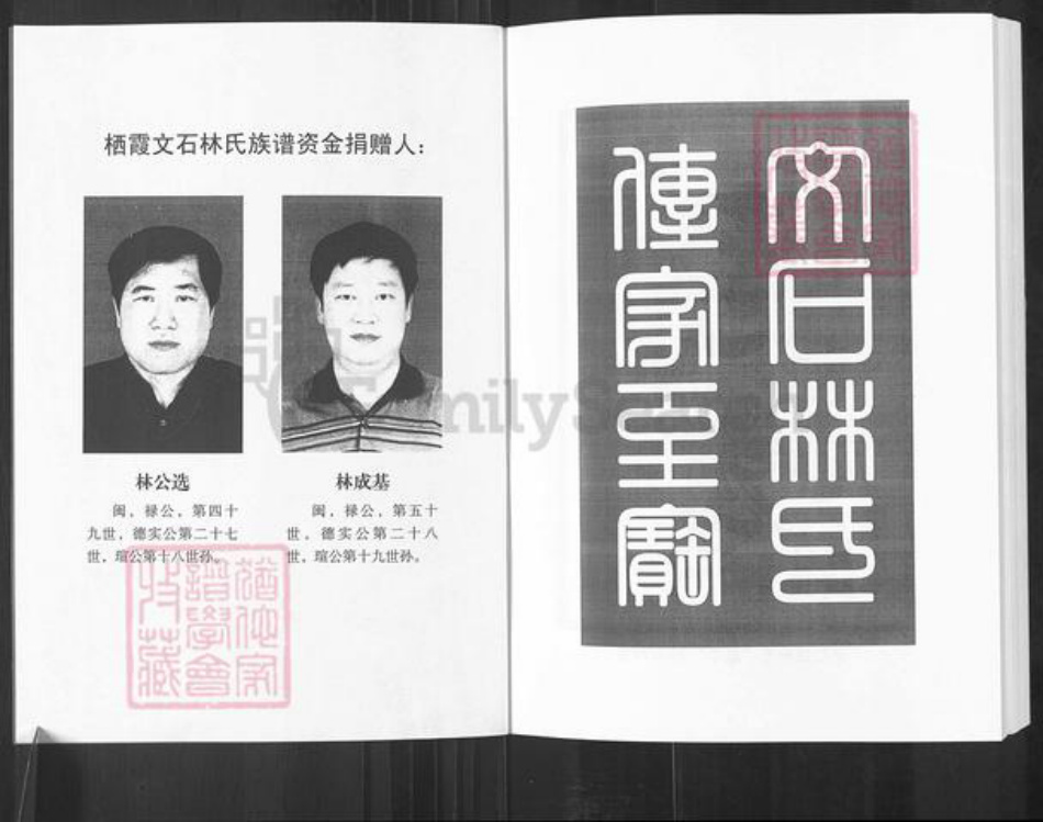 山东省烟台市栖霞市林氏族谱-山东栖霞文石林氏族谱.pdf电子版插图2