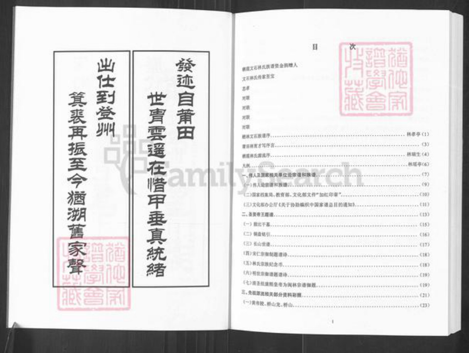 山东省烟台市栖霞市林氏族谱-山东栖霞文石林氏族谱.pdf电子版插图5
