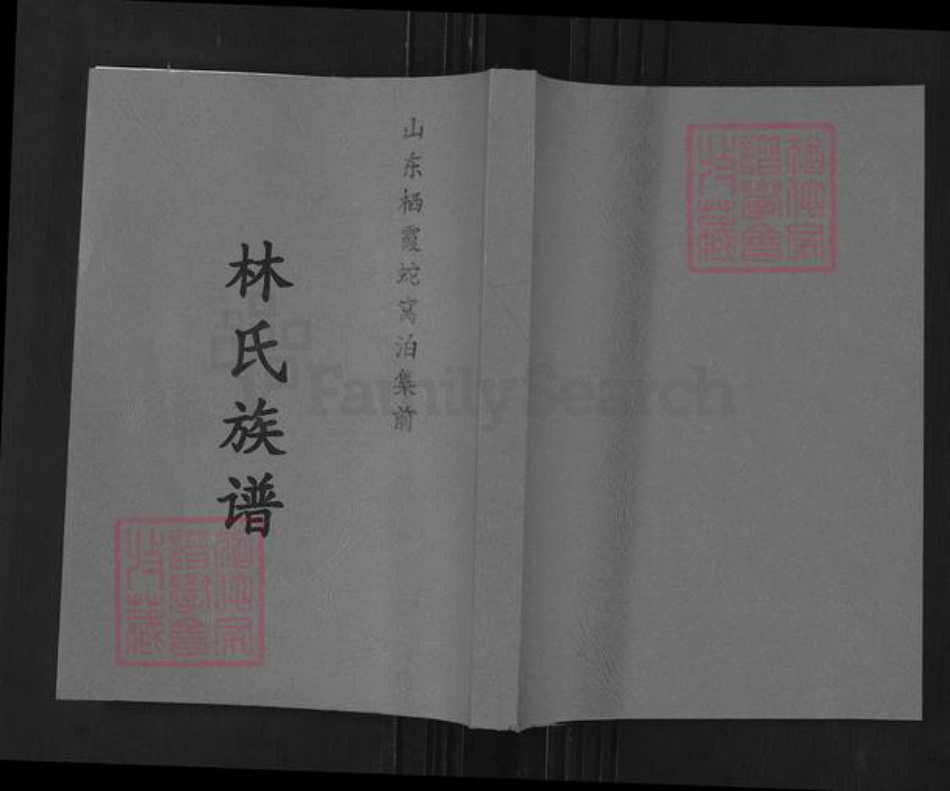 山东省烟台市栖霞市林氏族谱-山东栖霞蛇窝泊集前林氏族谱.pdf电子版插图