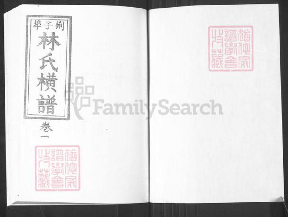 山东省烟台市栖霞市桃村镇林氏族谱-荆子端口林氏横谱.pdf电子版插图1