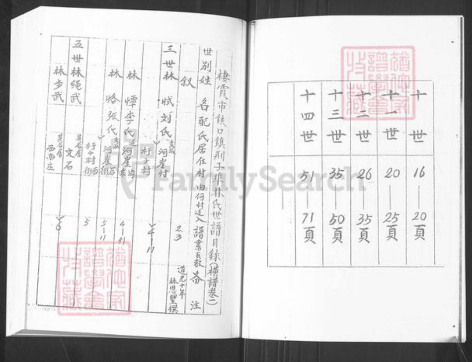 山东省烟台市栖霞市桃村镇林氏族谱-荆子端口林氏横谱.pdf电子版插图3