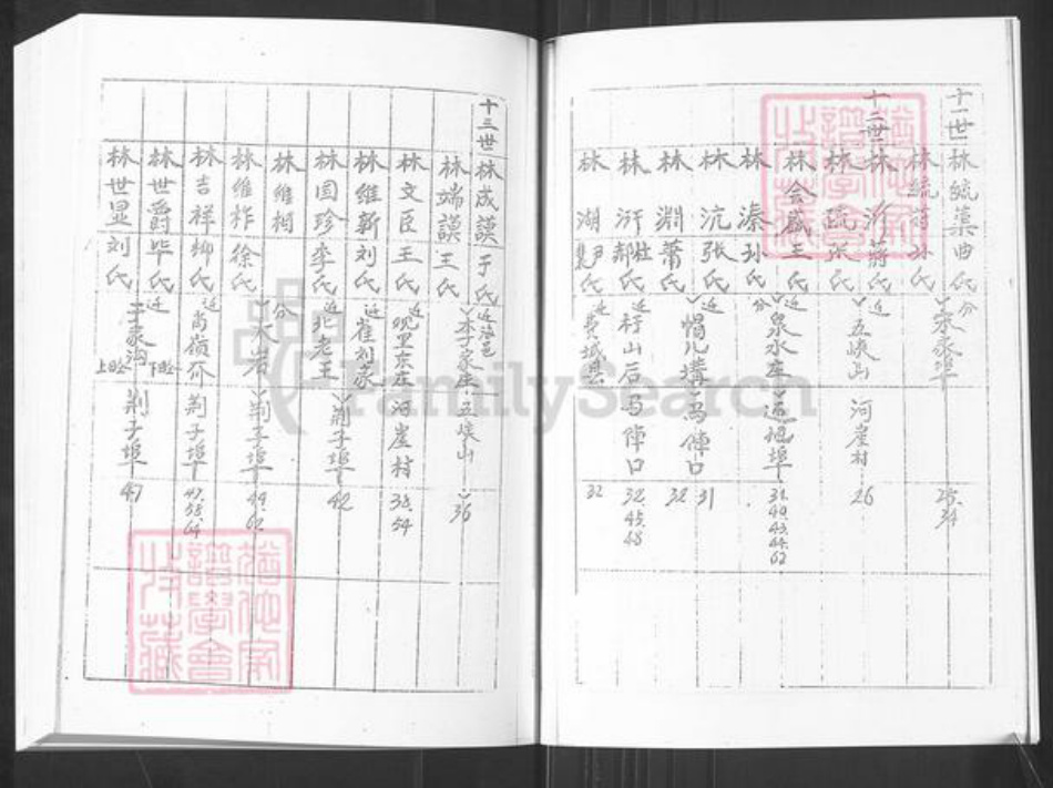 山东省烟台市栖霞市桃村镇林氏族谱-荆子端口林氏横谱.pdf电子版插图5