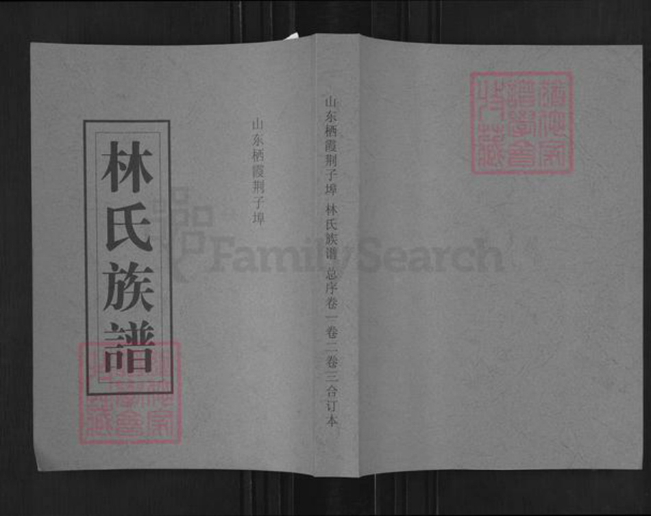 山东省烟台市栖霞市桃村镇林氏族谱-林氏族谱.pdf电子版插图