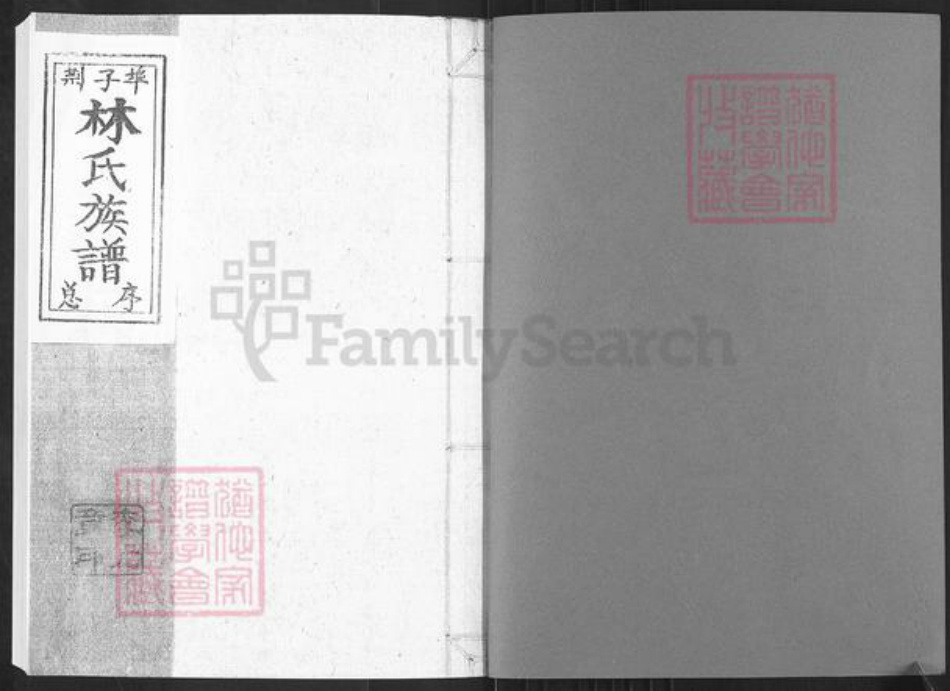 山东省烟台市栖霞市桃村镇林氏族谱-林氏族谱.pdf电子版插图1